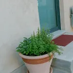 Al Centro Del Borgo Apartment *