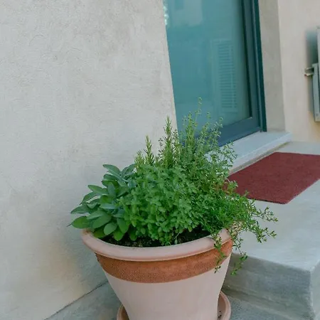 Al Centro Del Borgo Apartamento *