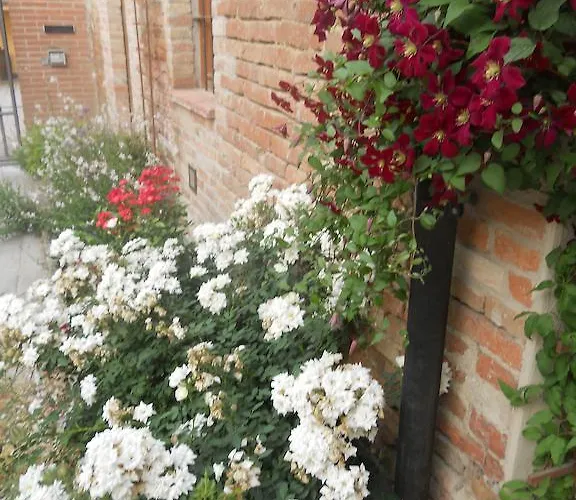 Al Centro Del Borgo 아파트