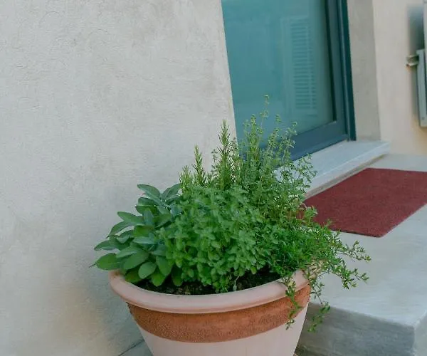 Al Centro Del Borgo 아파트 *